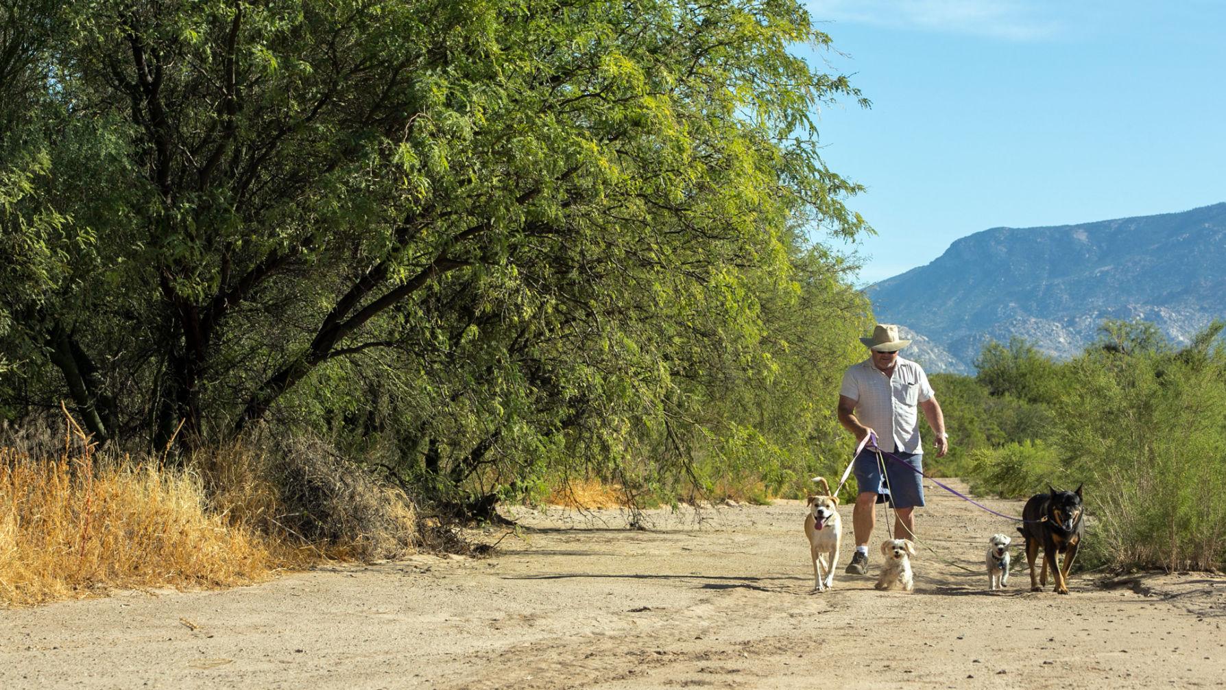New Oro Valley trail aims at hikers, cyclists, horses